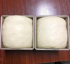 在温度大概37度，湿度75%的地方发酵至满模