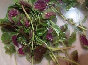把苋菜洗干净