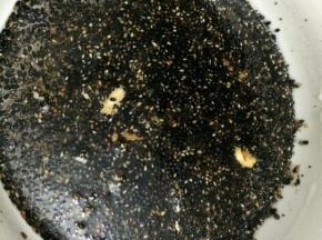 拆开倒进碗里用冷水浸泡过夜