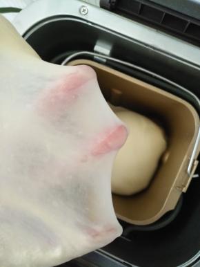 除酵母与黄油外，其它原料放入面包桶，开启法式面包程序，揉至出厚膜时加入酵母和黄油，揉至出薄膜