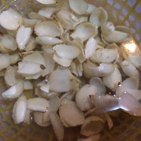 把百合洗干净，浸泡三个小时去苦味