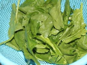 将菠菜洗净，根部去除
