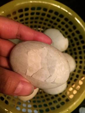 再闷五分钟后取出敲碎外壳