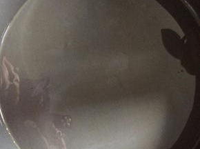 在烤盘里涂上油