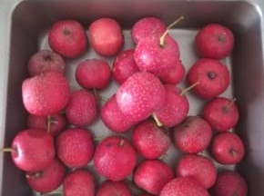 山楂清洗干净。