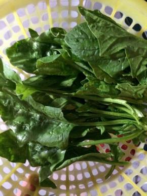 把菠菜洗干净