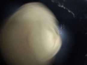 再继续和面至团