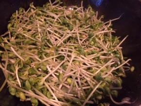 起油锅，倒入绿豆苗