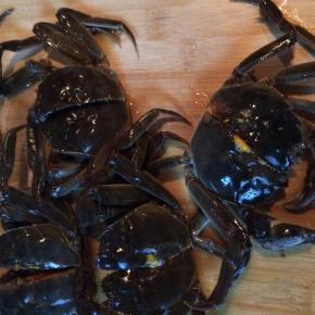 把六月黄洗干净，然后一分为二