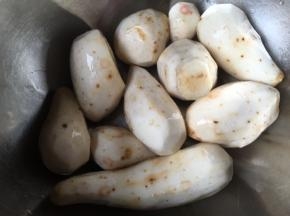 戴手套去皮