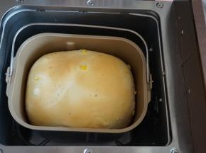 香喷喷的面包出炉啦