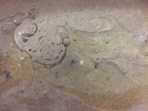 最后倒入植物油，搅拌均匀