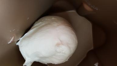 3.揉至完全扩展阶段时进行基础发酵。