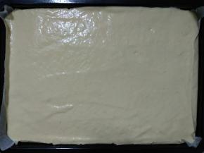 将蛋糕糊倒入烤盘，用抹刀抹平，手持烤盘轻震几下，去除气泡。