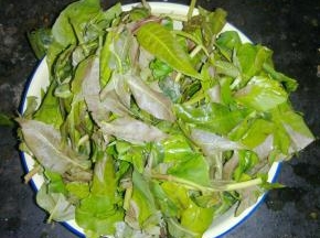 香椿洗净折去比较柴比较精的根茎，留下嫩茎和叶子。