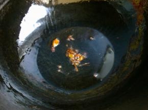 锅中倒油，放入几个花椒和大料。