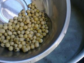 水沸腾后下入黄豆。