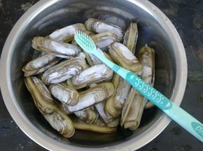 蛏子用盐水泡三个小时以上，让蛏子吐净泥沙，外壳用牙刷刷干净。