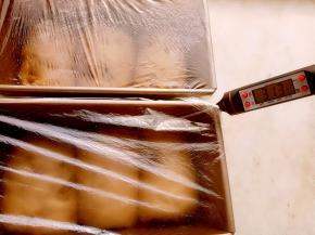 把卷好的面团放到阳晨金色450g吐司盒里，盖保鲜膜进行二发（温度不要超过38度）大概60分钟左右。