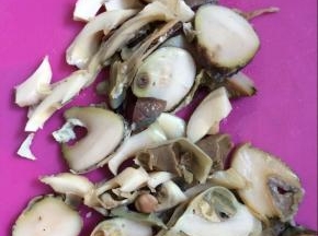 去掉海螺的苦胆，在切成片状