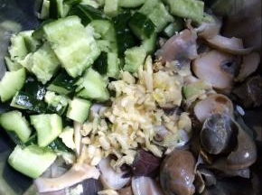 将处理好的黄瓜，蒜，海螺，放到盆中