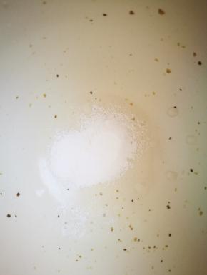 碱粉有开水化开放凉