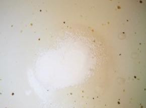 碱粉有开水化开放凉