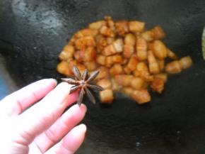 放入八角，加入盐；继续煸炒出油。