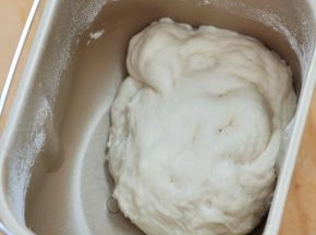 使用和面程序，将面揉成团，发酵40分钟。