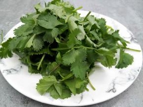 香菜洗净，切成段备用