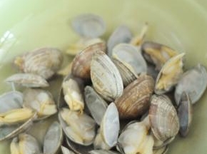 挑出张开嘴的花蛤，再次清洗一遍。