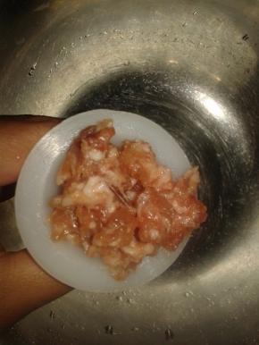 通过灌肠器把肉末塞进去