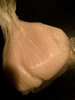 装进保鲜袋子里