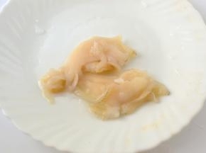 将海蚌内脏去除用盐抓拿清洗干净