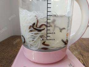 煮至米粉能用筷子夹断