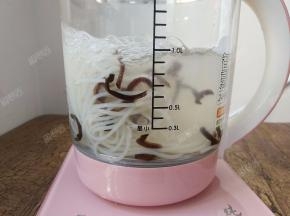 煮至米粉能用筷子夹断