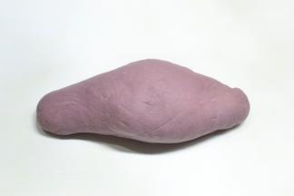 取出再次揉成光滑的面团（切面看没有气孔）