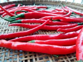 放通风的地方晾干水分，