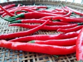 放通风的地方晾干水分，