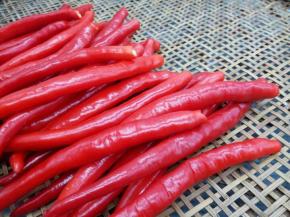 晾干水分后，去辣椒把