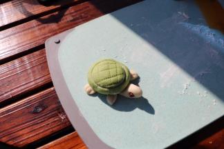 用干净的梳子在乌龟壳上压出交叉的痕迹，如图；萌萌的乌龟就做好了，发酵8-10分钟（冬季温度适当延长）