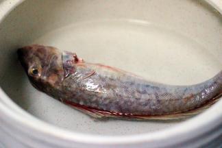 砂锅中倒入适量清水、把鱼放入锅中