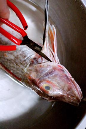 用剪刀去掉内脏和鱼须