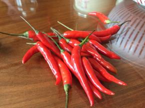 小红椒，是不是很新鲜；