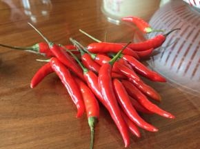 小红椒，是不是很新鲜；