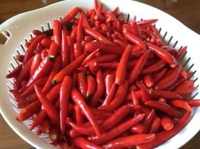 摘去红辣椒的梗；清洗干净，沥干水分；