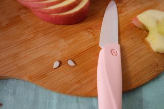 取一粒苹果籽切两瓣，就是天鹅的眼睛了；