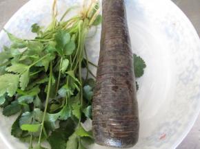 黑色胡萝卜是长这个样子的，外皮是黑色的