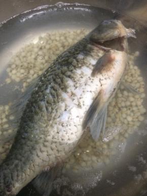 再把处理好的鲫鱼放入锅中