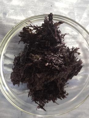 紫菜撕碎，用直接煮的那种